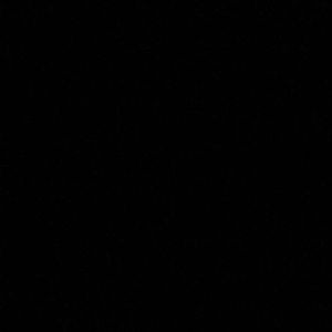 Meet your Posher, Anahi